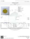 CBD Living Broad Spectrum CBD Gel Capsules - Kultivate Wellness