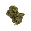 Kultivate Wellness Jack Herer Premium THCA Hemp Flower Pre-Roll Kultivate Wellness