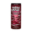 Melting Forest Functional Mushroom Sparkling Water - Kultivate Wellness