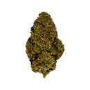 Kultivate Wellness Northern Lights Premium THCA Hemp Flower - Kultivate Wellness