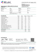 Kultivate Wellness Full Spectrum Muscle Cream 2000mg - Kultivate Wellness