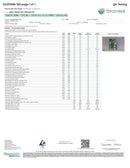 Alien Head 25:1 CBD:THC Mega Dose Gummies 50mg - Kultivate Wellness