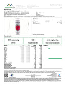 MUZE THC:CBG Micro Dose Sparkling Water - Kultivate Wellness