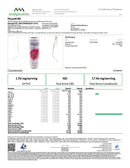 MUZE THC:CBG Micro Dose Sparkling Water - Kultivate Wellness