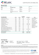 Kultivate Wellness Apricot Scone Premium THCA Hemp Flower Pre-Roll Kultivate Wellness