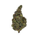 Kultivate Wellness Berry Pound Cake Premium THCA Hemp Flower (Indica)