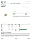 Kultivate Wellness Blue Magic Premium THCA Hemp Flower