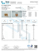 CannaAid CBD Hangover Relief Vegan Capsules 2pk - Kultivate Wellness