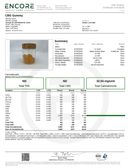 SimpleLeaf CBG Mango Gummies 30mg - Kultivate Wellness