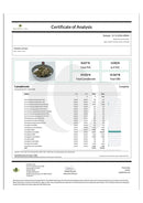 Kultivate Wellness Greenhouse CBD Hemp Flower 3.5g - Kultivate Wellness