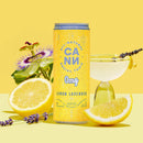 Cann 0mg THC Free Social Tonics