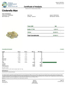 Kultivate Wellness Cinderella Man Premium THCA Hemp Flower