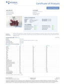 Wyld Terpene Enhanced THC Gummies 300mg - Kultivate Wellness