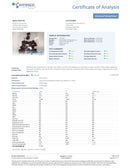 Wyld Terpene Enhanced THC Gummies 300mg - Kultivate Wellness