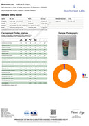 Enjoy Hemp Mega Potency THC:Lion's Mane Social Seltzer 50mg