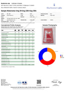 Snoozy Feel Good Energy THC:CBD:CBG Gummies - Kultivate Wellness