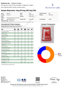 Snoozy Feel Good Energy THC:CBD:CBG Gummies - Kultivate Wellness