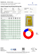 Snoozy Highly In Focus THC:CBD:CBG Gummies - Kultivate Wellness