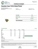 Kultivate Wellness Hawaiian Haze Premium THCA Hemp Flower Pre-Roll (Hybrid)