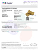 Holistapet Mobility Crunchy CBD Dog Treats 600mg
