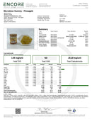 Kultivate Wellness THC:CBC Functional Dose Single Serving Gummy (Hybrid)