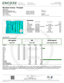 Kultivate Wellness THC:CBC Functional Dose Single Serving Gummy (Hybrid)