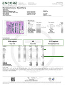 Kultivate Wellness THC:CBN Functional Dose Single Serving Gummy (Indica)