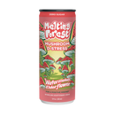 Melting Forest Functional Mushroom Sparkling Water - Kultivate Wellness