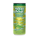 Melting Forest Functional Mushroom Sparkling Water - Kultivate Wellness