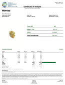 Kultivate Wellness Mimosa Premium THCA Hemp Flower Pre-Roll (Sativa) - Kultivate Wellness