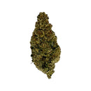 Kultivate Wellness Money Maker Premium THCA Hemp Flower - Kultivate Wellness