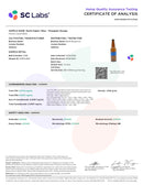 North Vibes Higher Vibes Dee9 Sparkling Water - Kultivate Wellness