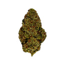 Kultivate Wellness Northern Lights Premium THCA Hemp Flower Pre-Roll - Kultivate Wellness