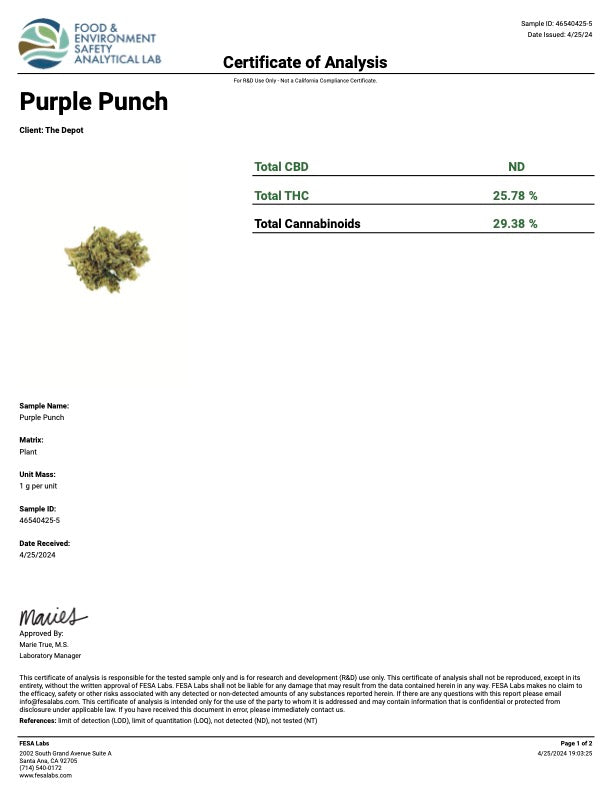 Kultivate Wellness Purple Punch Premium THCA Hemp Flower