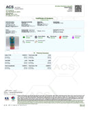 Shoreline Tea Company THC Infused Tea 10mg - Kultivate Wellness