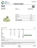 Kultivate Wellness Splash Premium THCA Hemp Flower King Size Pre-Roll (Sativa)