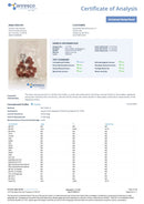 Wyld Terpene Enhanced THC Gummies 300mg - Kultivate Wellness