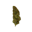 Kultivate Wellness Willie Nelson Premium THCA Hemp Flower Pre-Roll (Sativa) Kultivate Wellness