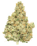 Secret Nature Fuji Indoor CBD Hemp Flower Secret Nature