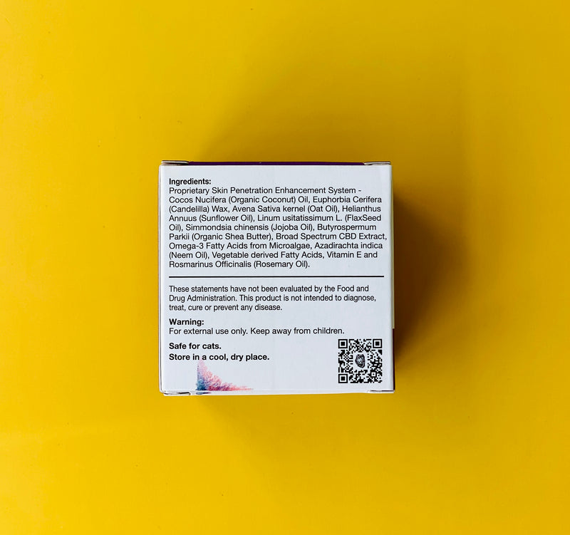 CBD Living Dog Nose & Paw Salve CBD Living